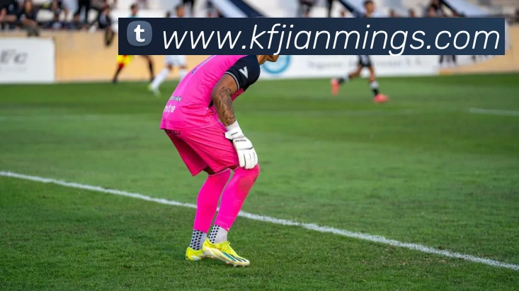 App Interface Preview