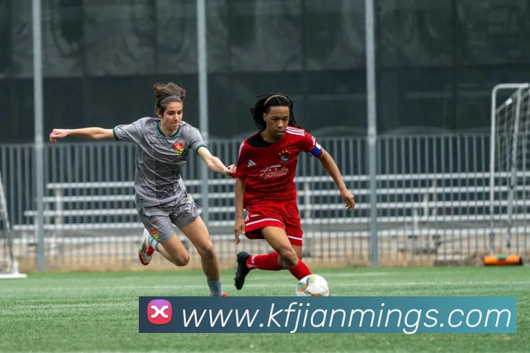 数据防护可视化